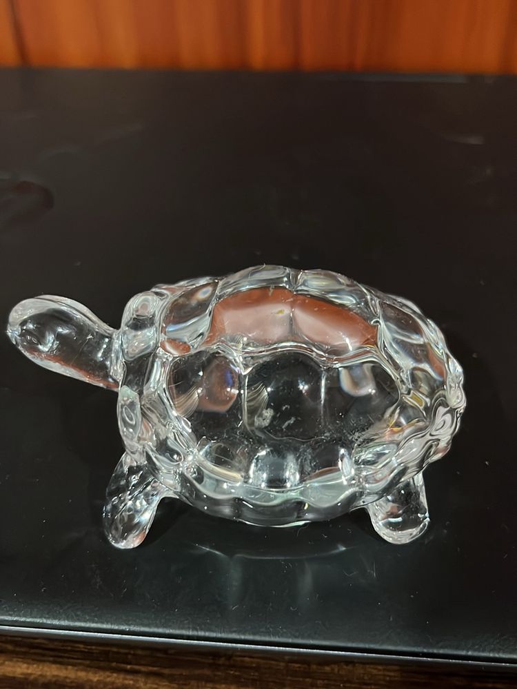 Small Turtle Show Piece