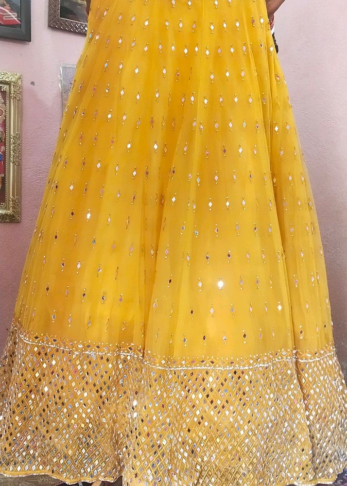 New George's Mirror Work Lehenga