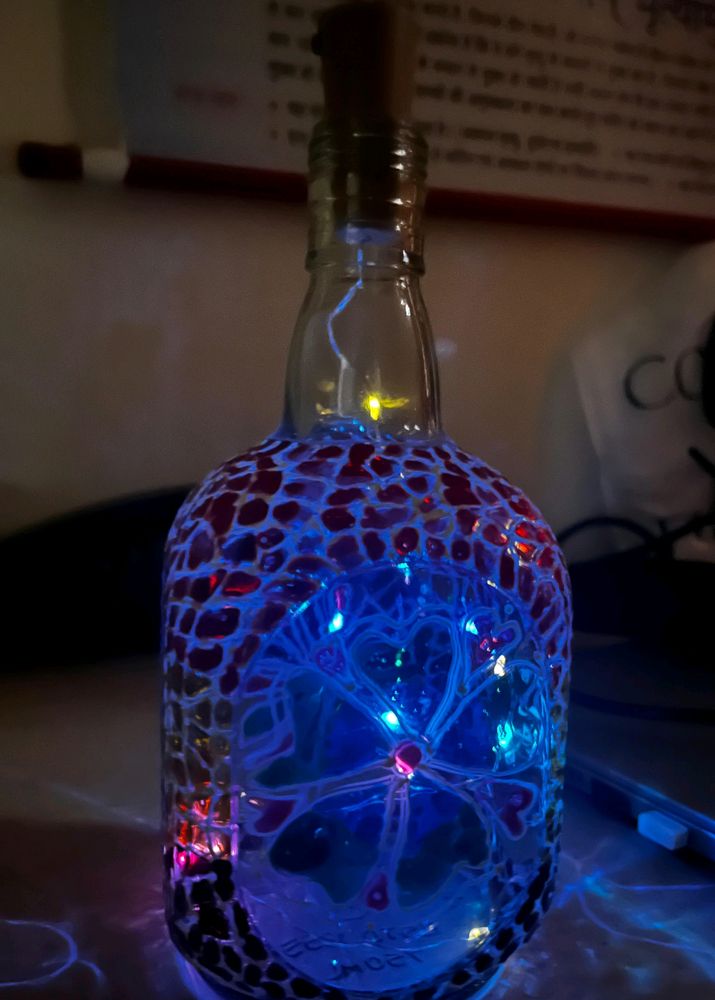 Beautiful Bottle Light