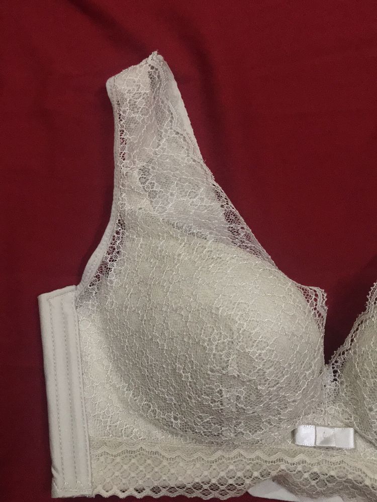 Lace  Design Bra