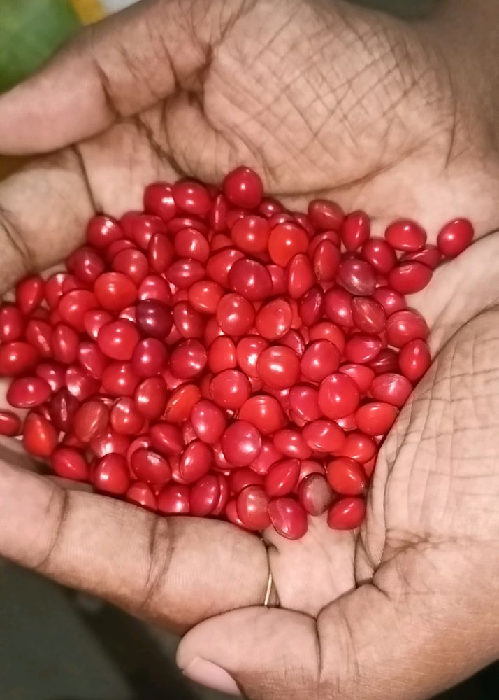 Red Lucky Beads ❤️ (500 Nos)