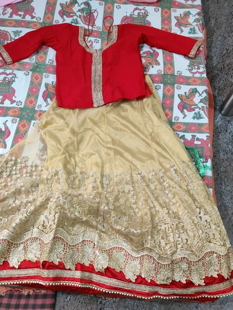 Lehenga Choli Set, Red N Beige Combination.