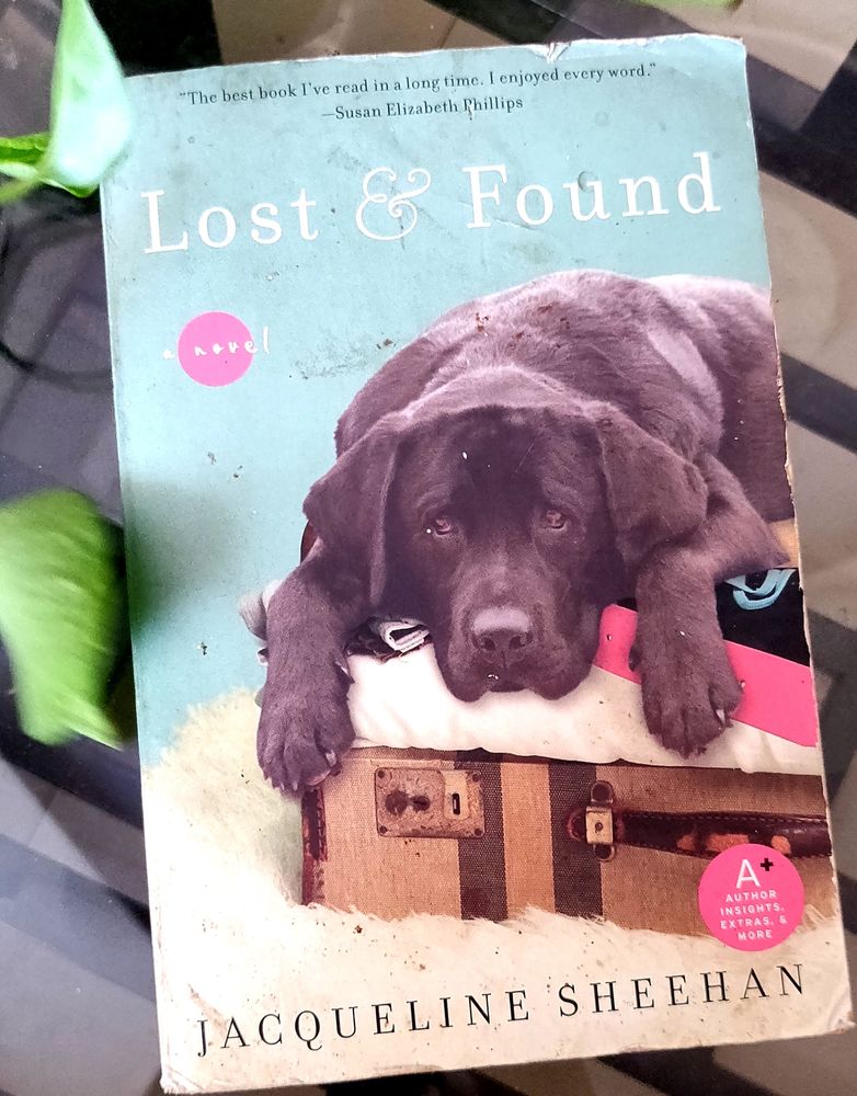 Lost & Found By Jacqueline Sheehan