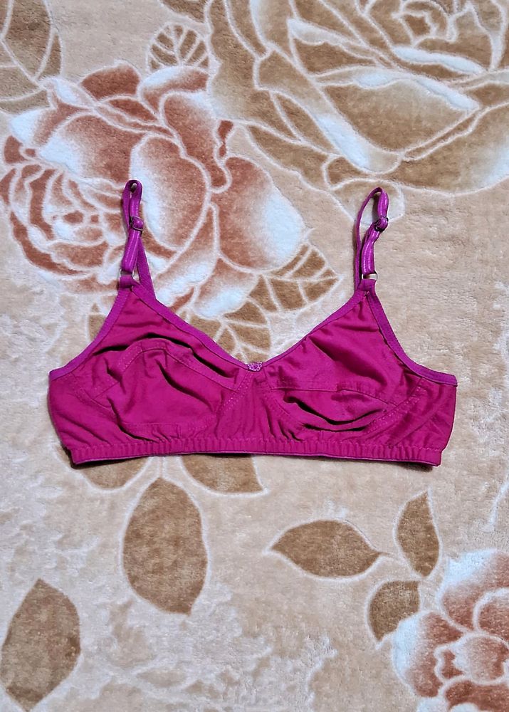 Rose Colour Bra💗