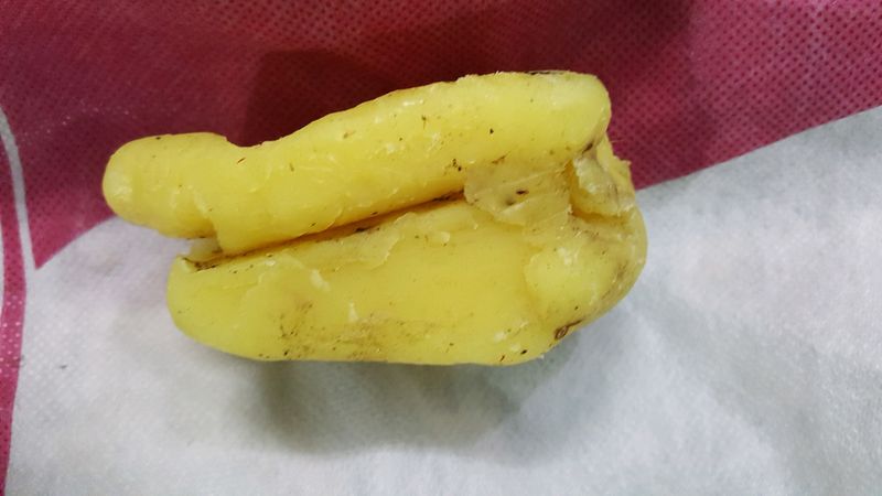 Bee - Wax ,100% Pure, Only For External Use