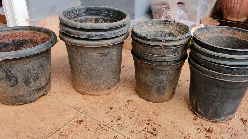 Nursery Pots Available At Reasonable Price