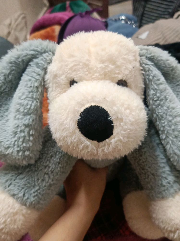 Dog Soft Toy