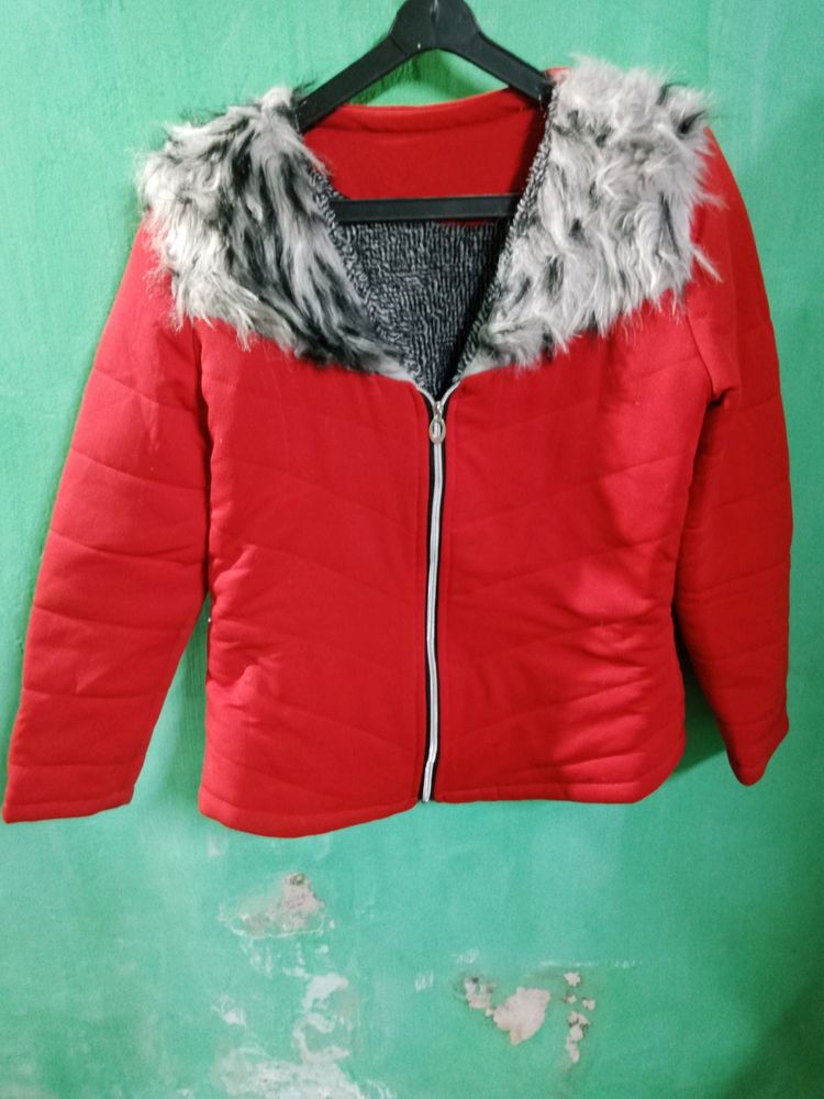 Trendy Jacket For Women