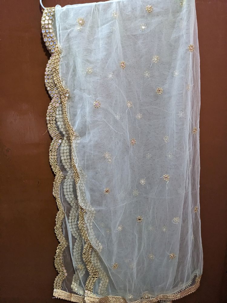 Light Green Embroidery Dupatta With Mirror Work