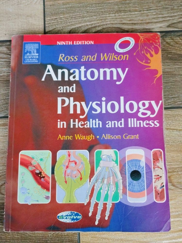 Anatomy And Physiology In Health An Illness