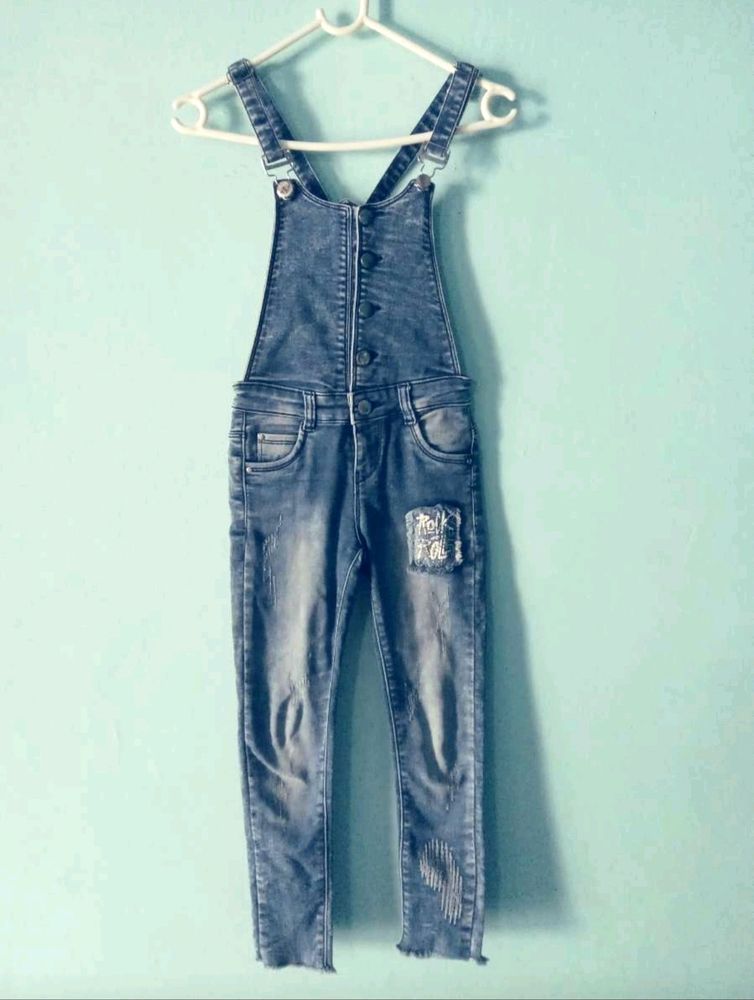 Zola denim Jumpsuit (tightfit)