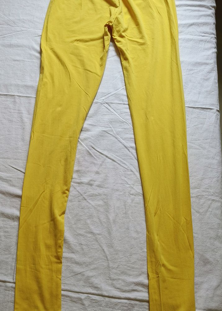 Yellow Colour Legging