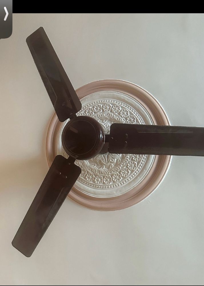 Havells Standard Fans Used But In Good Condition