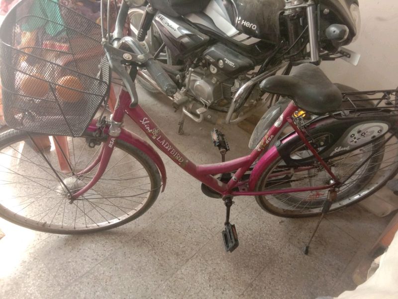 Ladies Bicycle For Sell