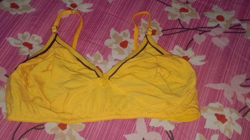 36 Size Bra