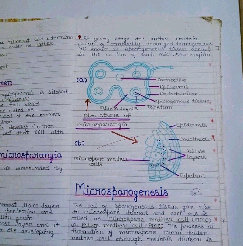 Biology & Physics Notes For Class 12th CBSE