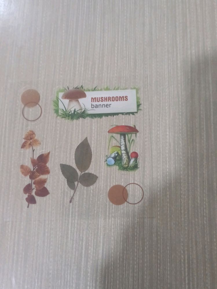 aesthetic mushroom clear stickers