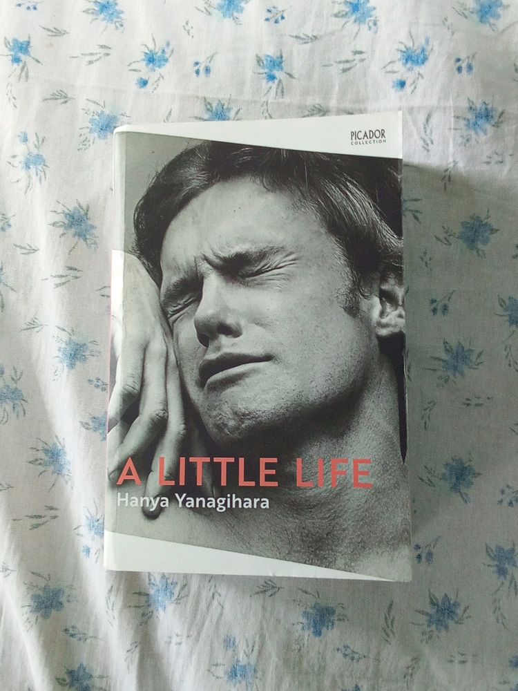 A Little Life