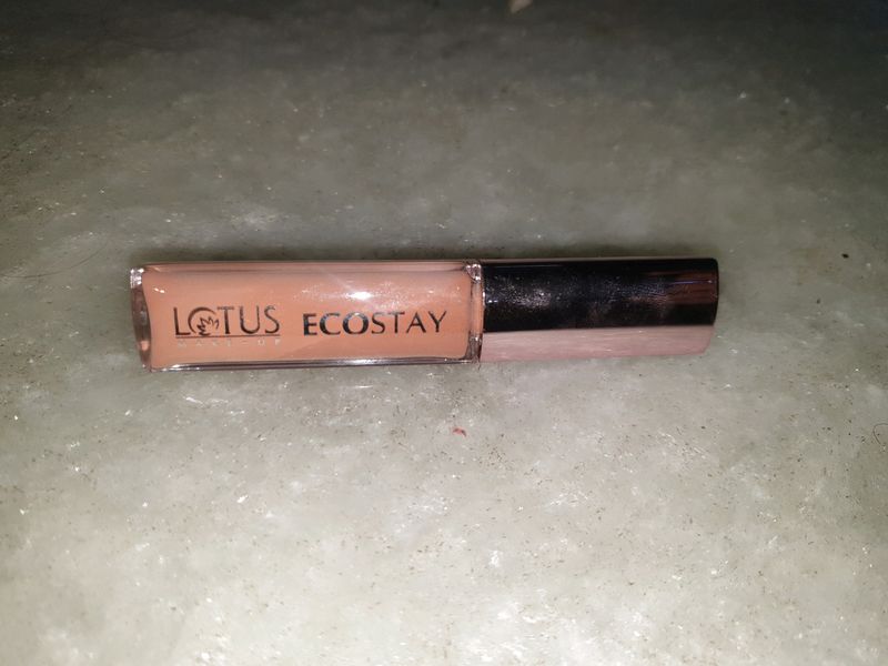 Lotus EchoStay Concealer