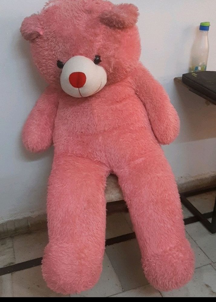 Big Pink Teddy Bear