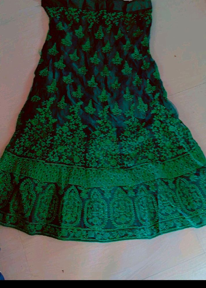 Green 💚 Net Embroidery Lehenga Blouse Dupatta