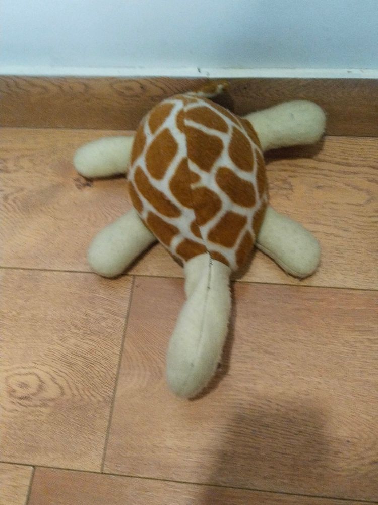 Tortoise Soft Toy