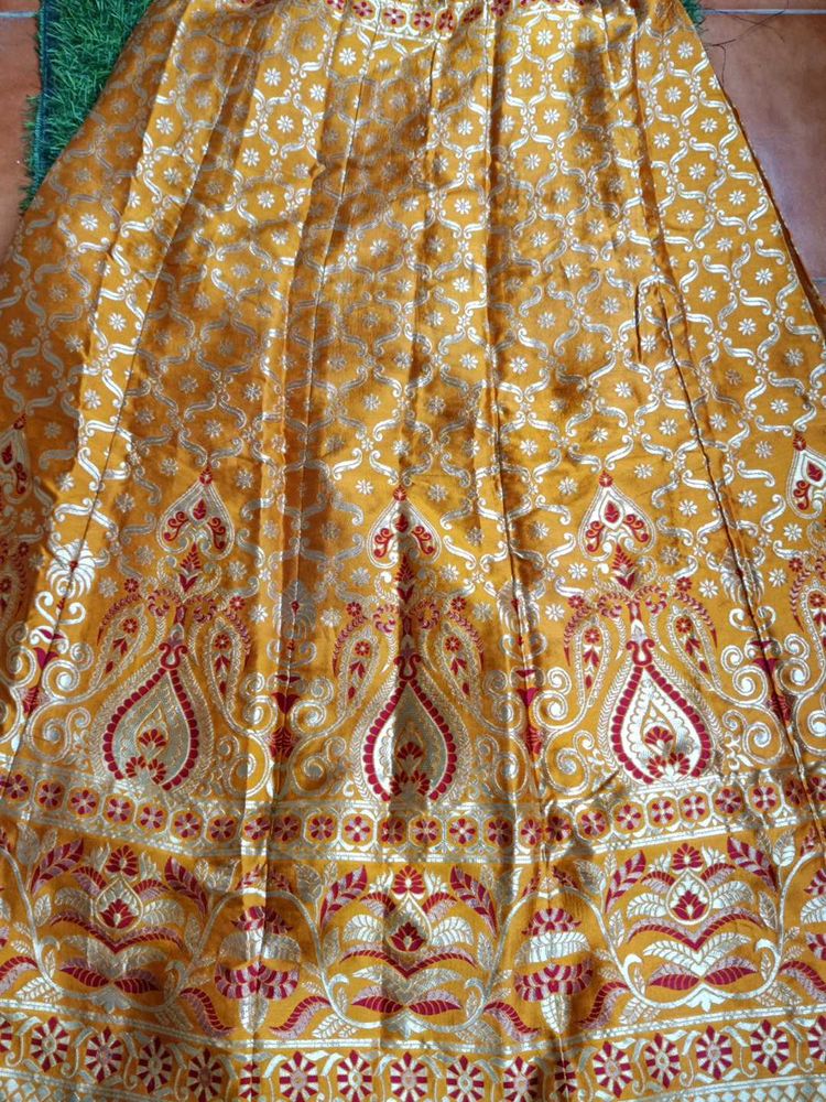 Beautiful Bnarsi Lhnga Skirt