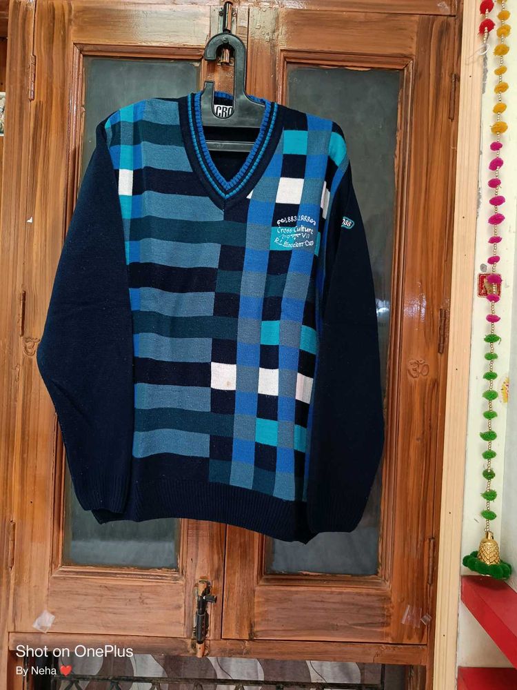 Winter Wear New Mens Sweater