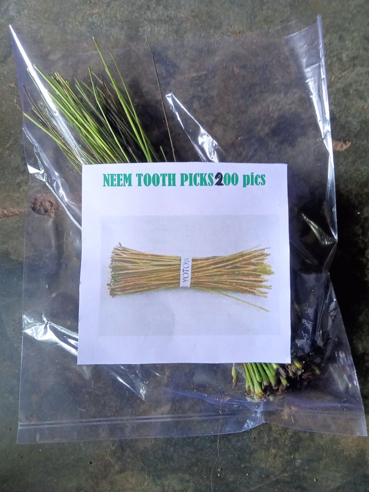 Neem Toothpicks