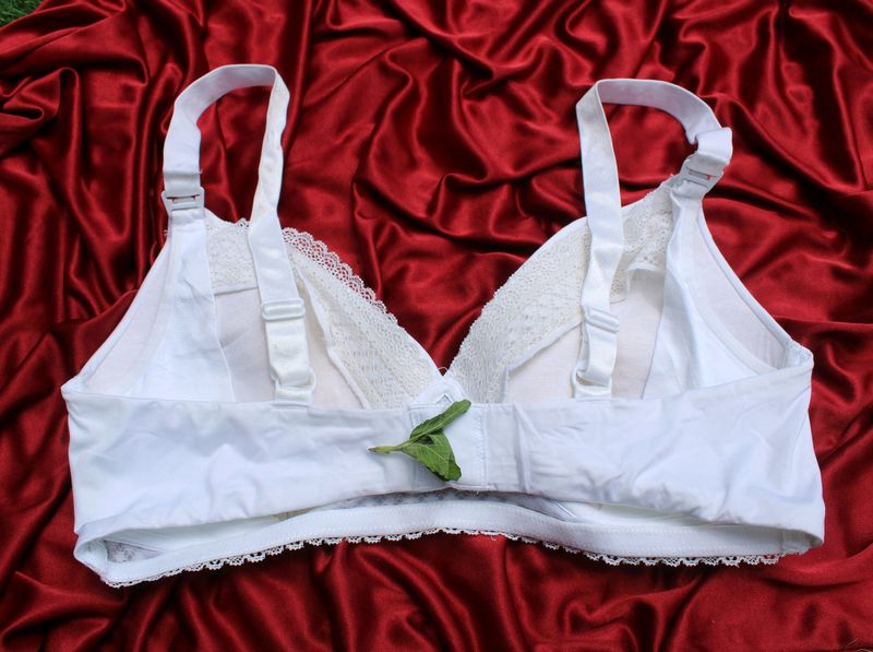 Women T-shirt Padded Bra