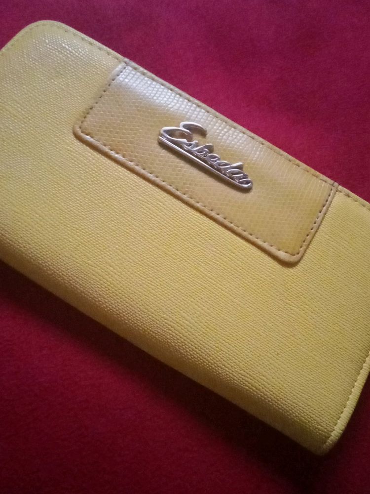 A Wallet In Golden Colour