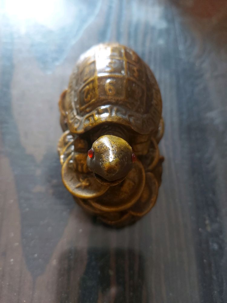 Turtle Decorative