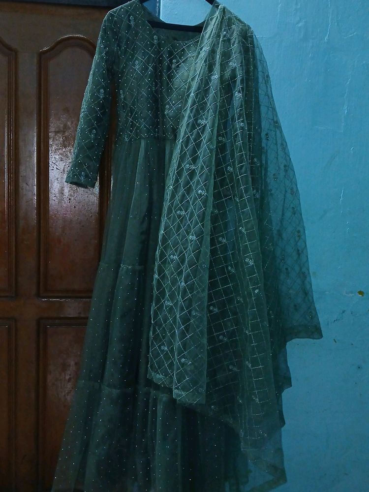 Olive Green Dim Sparkling Gown With Shining Shall