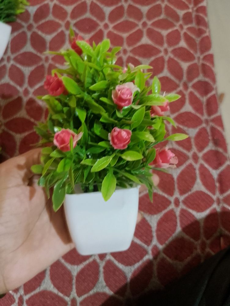 Beutyfull 😍 Artificial Flower Plant