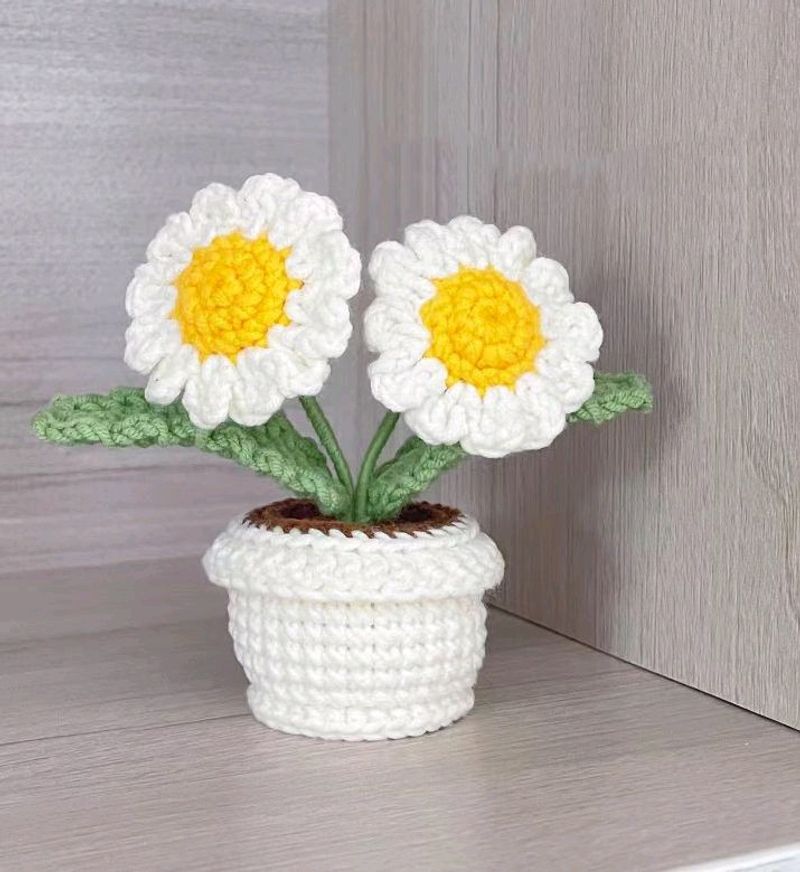 Crochet Daisy Pot 🌷