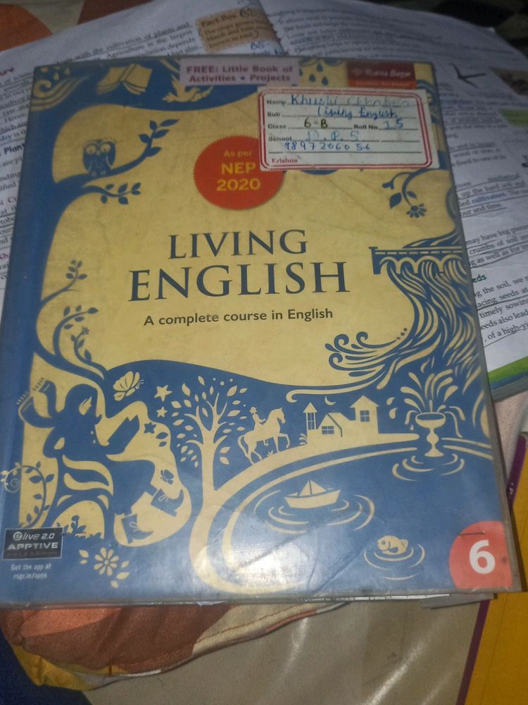 Living English Class 6