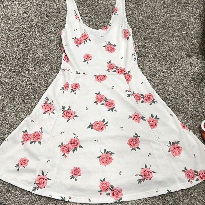 Floral Skater Dress