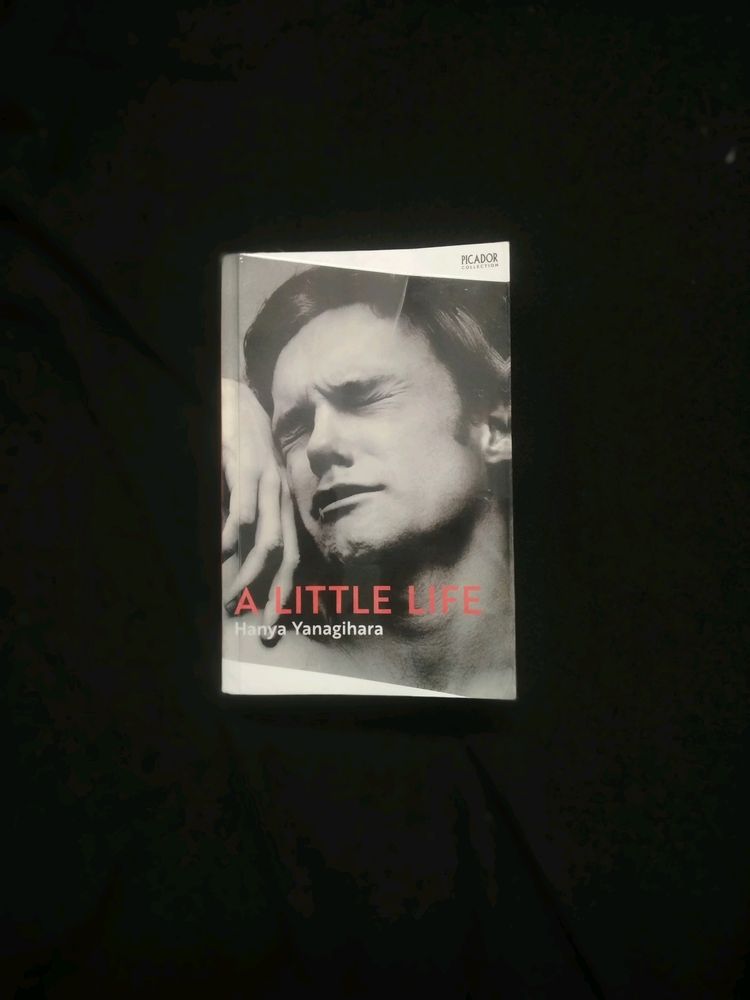 A Little Life