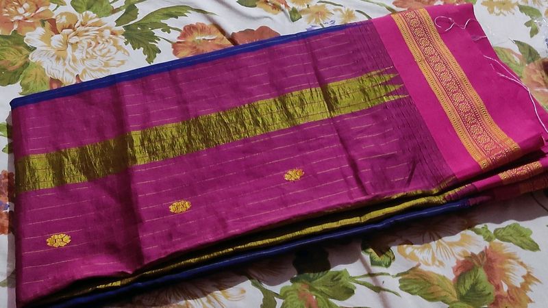 Traditional Sari