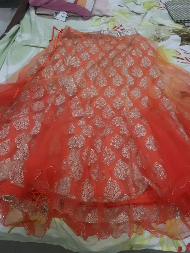 Beautiful Net Skirt With Jari Work