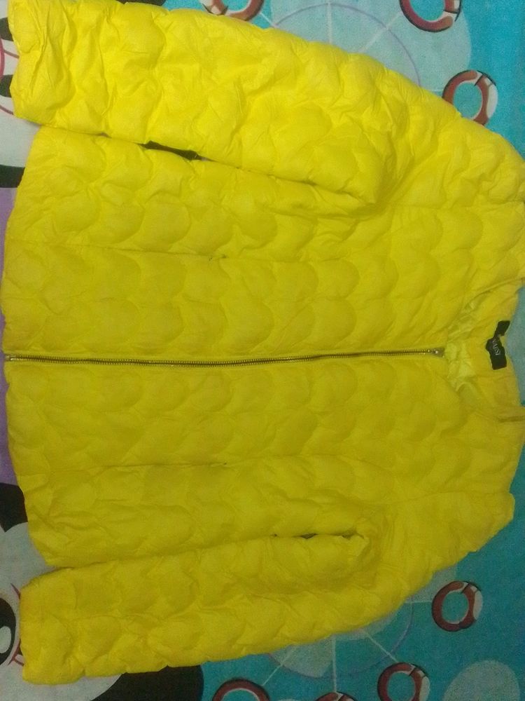 yellow jacket