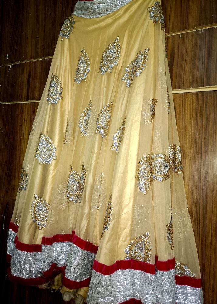 Only Lehnga Dupatta ♥️