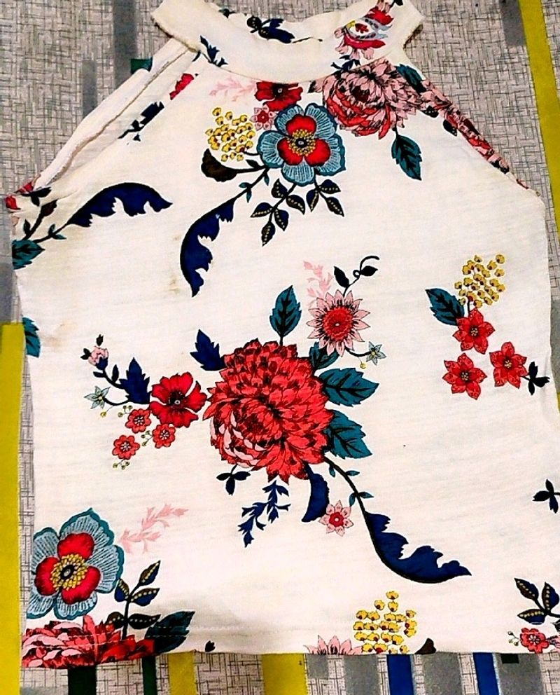 Halter Neck Flowers Printed Top