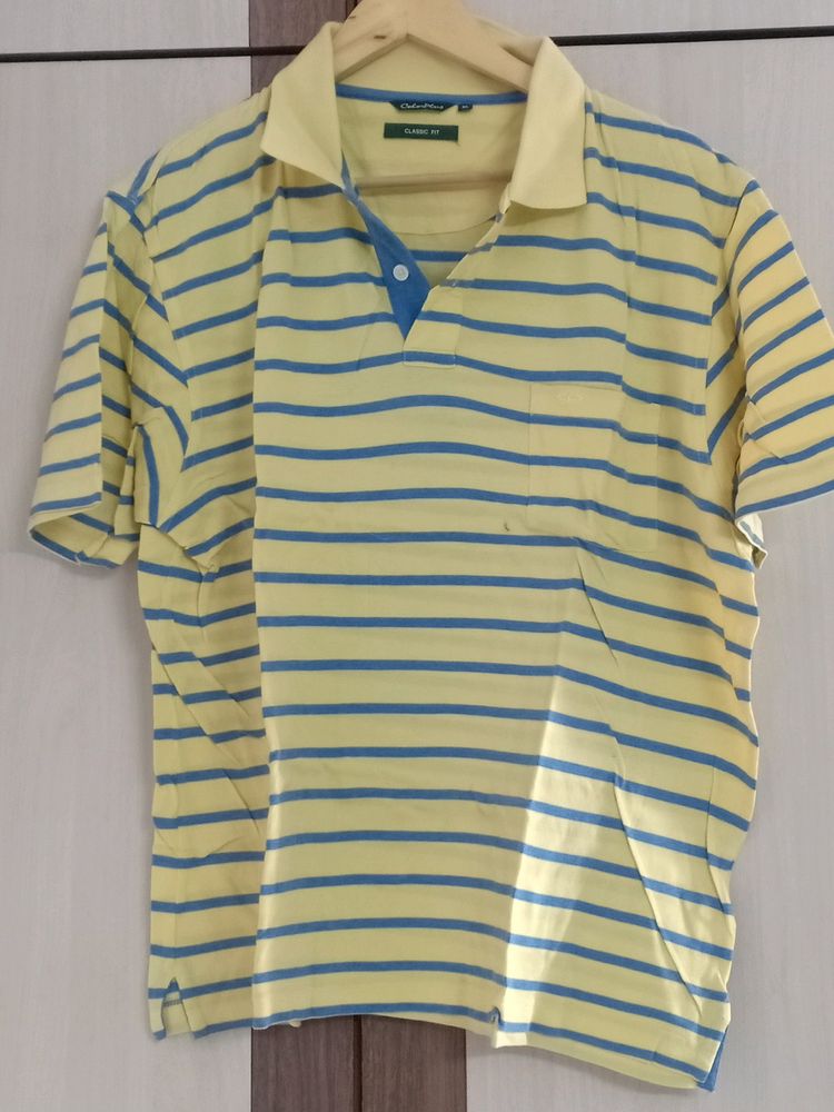 Xl Colour plus Cotton T Shirt