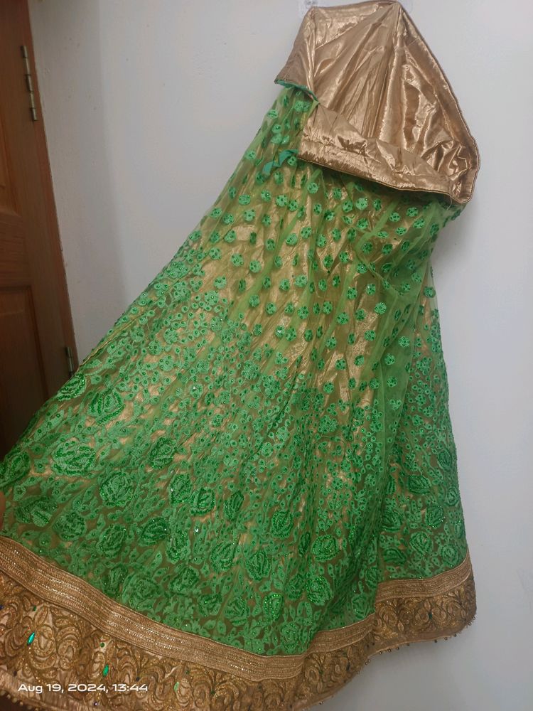 Elegant Green Net Choli Set