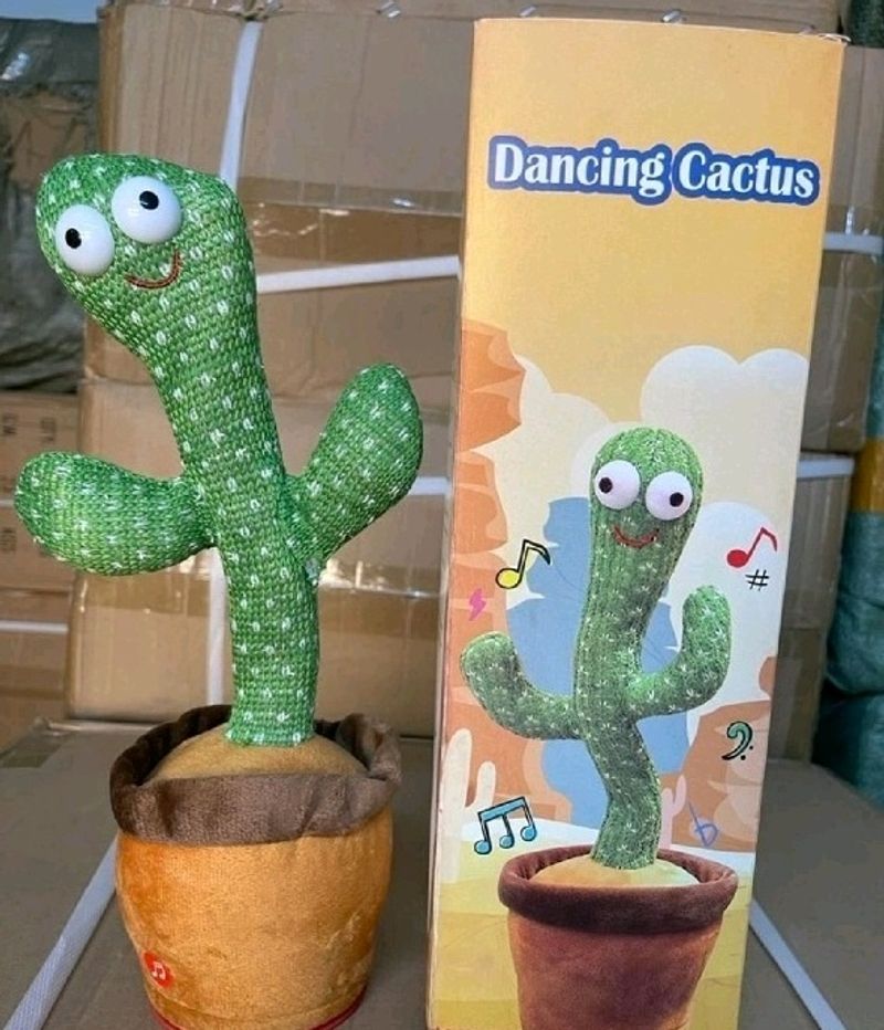 Dancing Cactus