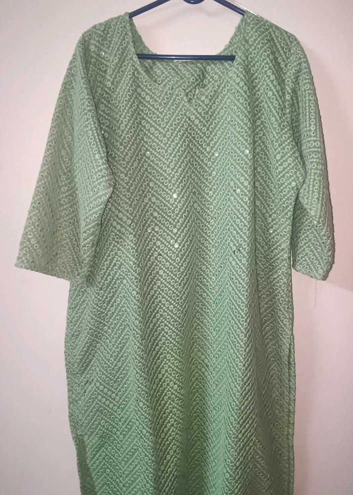 Unused Chikankari Straight Kurti