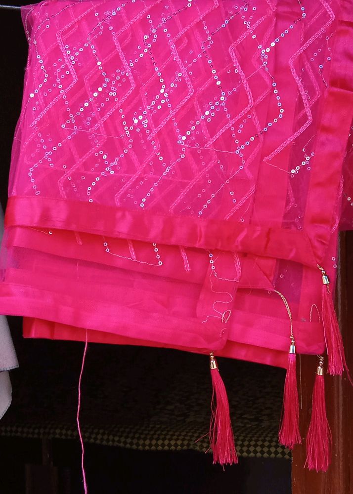 Pink Sequence Duppata