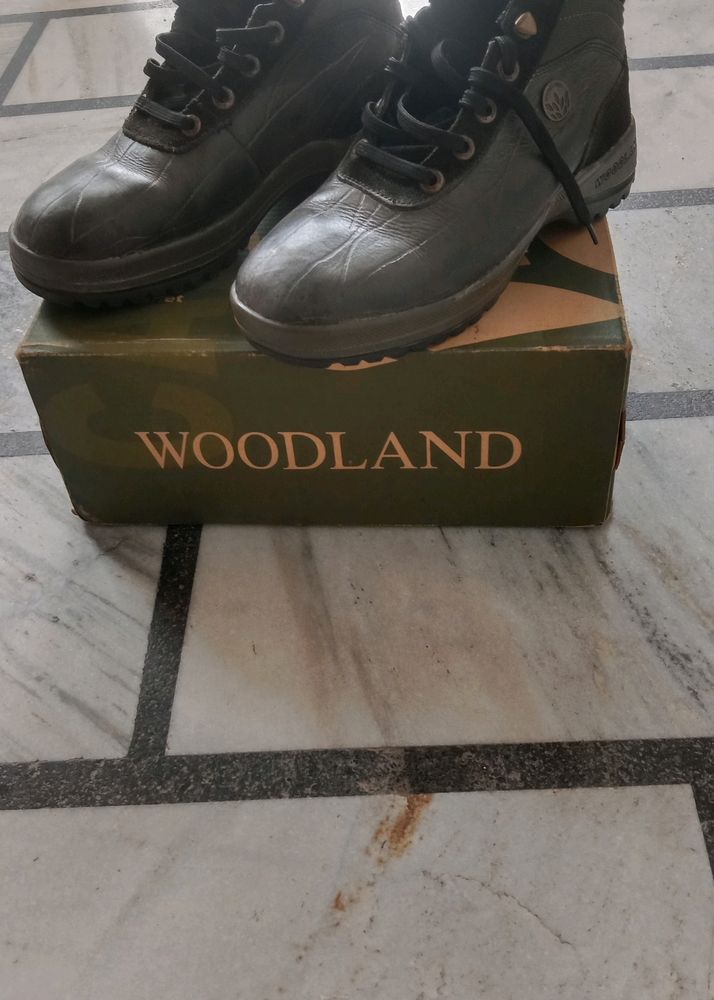 Woodland Shoes