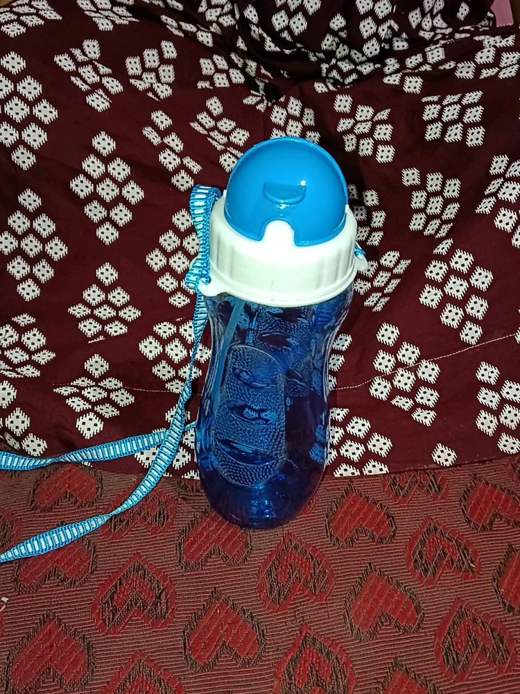 School Water Bottle